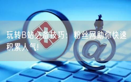 玩转B站必备技巧:粉丝网助你快速积累人气!