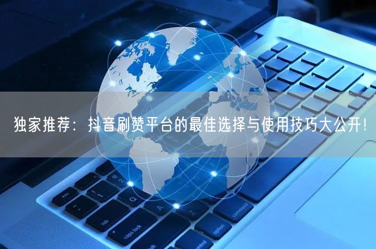 独家推荐：抖音刷赞平台的最佳选择与使用技巧大公开！