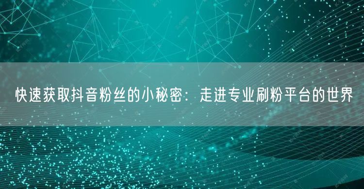 快速获取抖音粉丝的小秘密:走进专业刷粉平台的世界