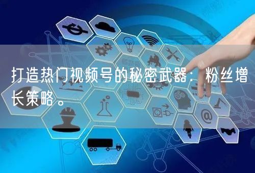 打造热门视频号的秘密武器：粉丝增长策略。