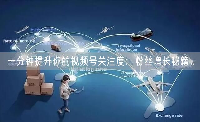 一分钟提升你的视频号关注度:粉丝增长秘籍。