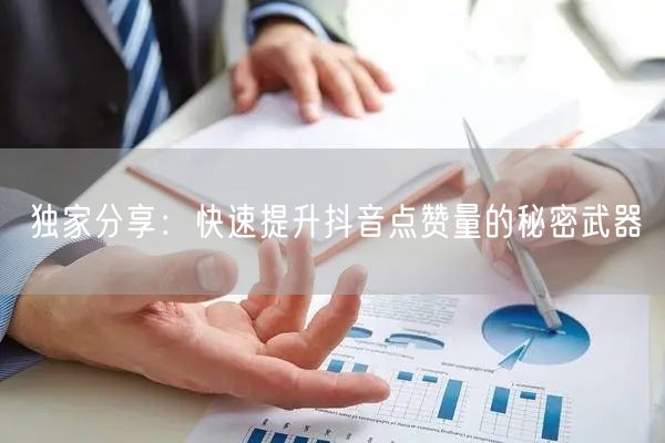独家分享：快速提升抖音点赞量的秘密武器