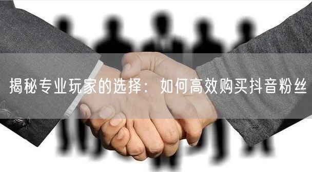 揭秘专业玩家的选择：如何高效购买抖音粉丝