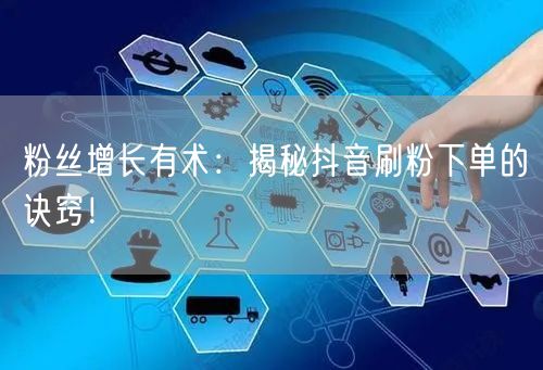 粉丝增长有术:揭秘抖音刷粉下单的诀窍!
